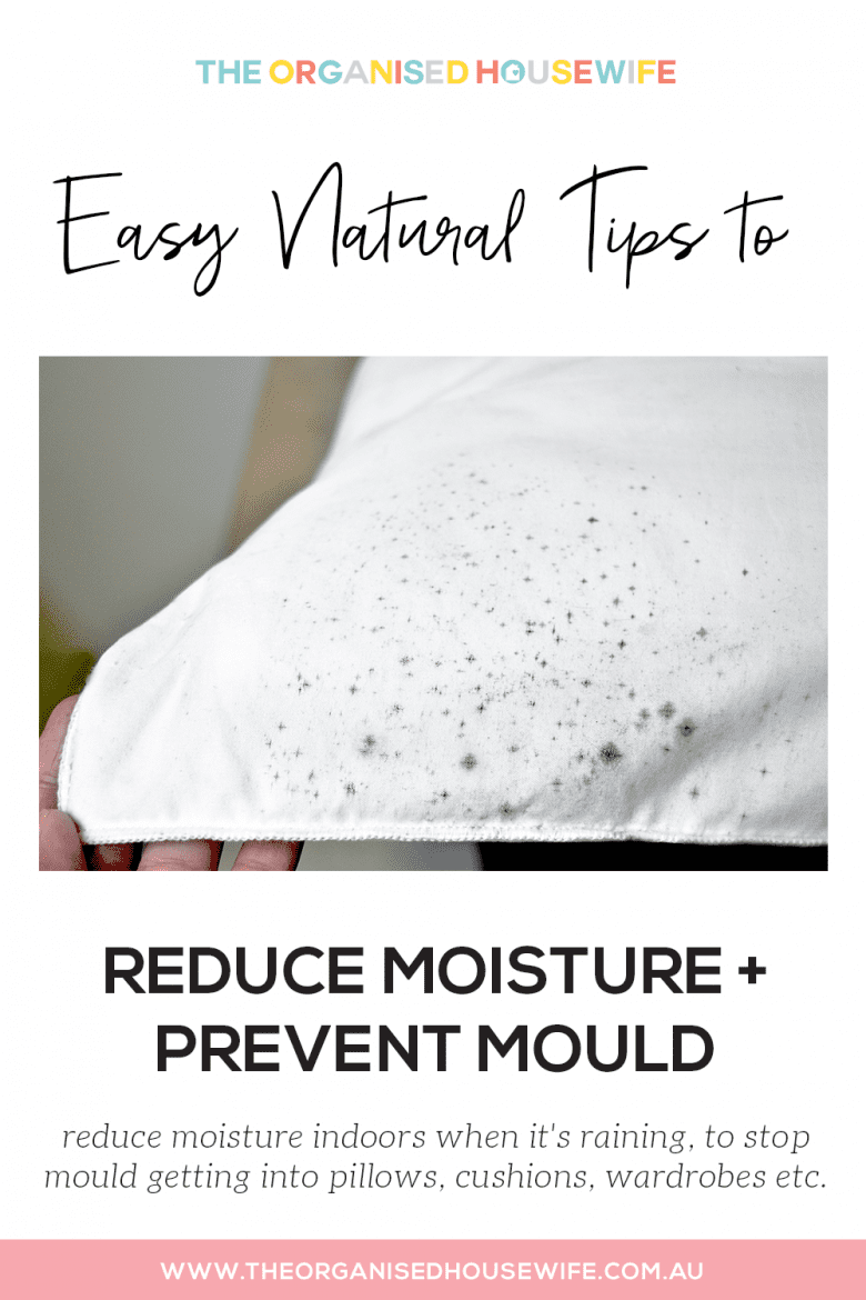 Easy natural tips remove moisture and mould in home