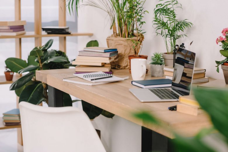 Indoor plants on home office desk for study