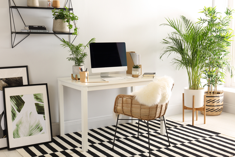 Bright home office with plants