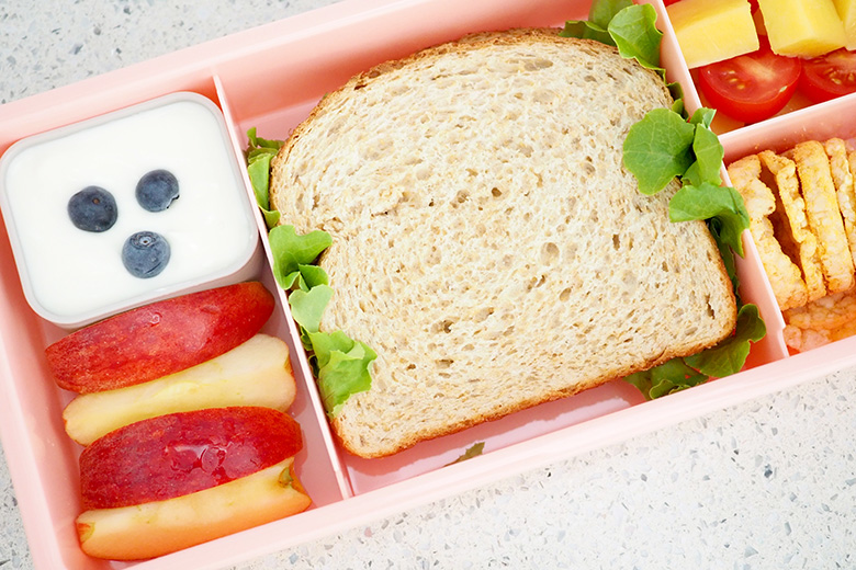 Airtight waste-free school lunchbox