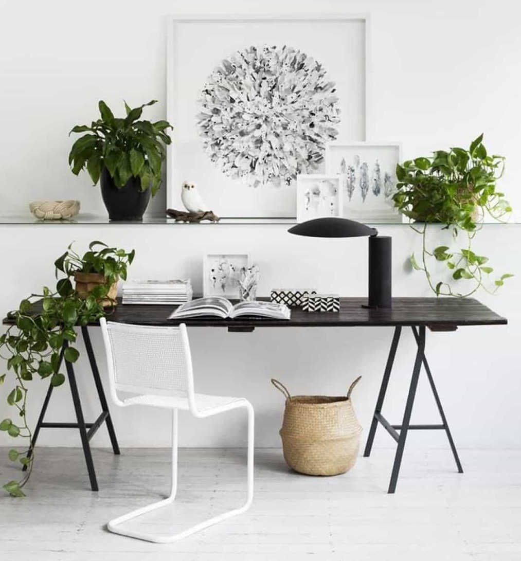 Green plants in home office better focus