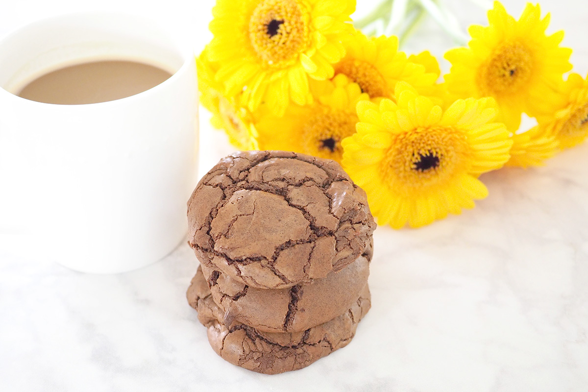 Chocolate brownie cookie recipe