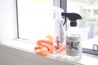 How To Clean Windows - The Organised Housewife