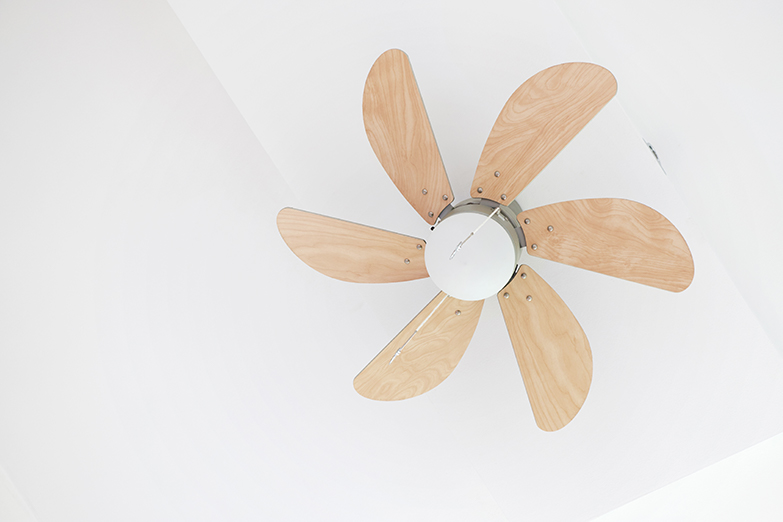 How To Clean A Ceiling Fan The, How To Clean Ceiling Fan Without Ladder
