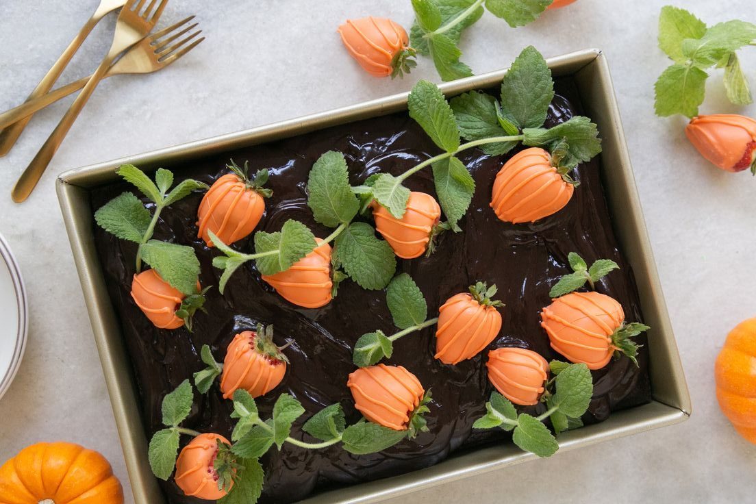 Chocolate pumpkin patch cake recipe