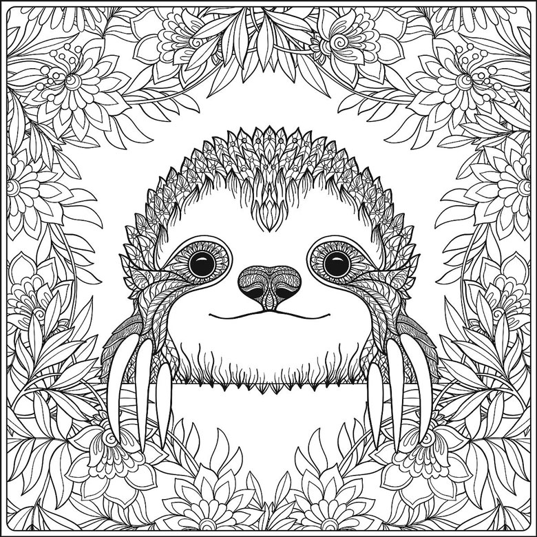 sloth colouring in page free printable