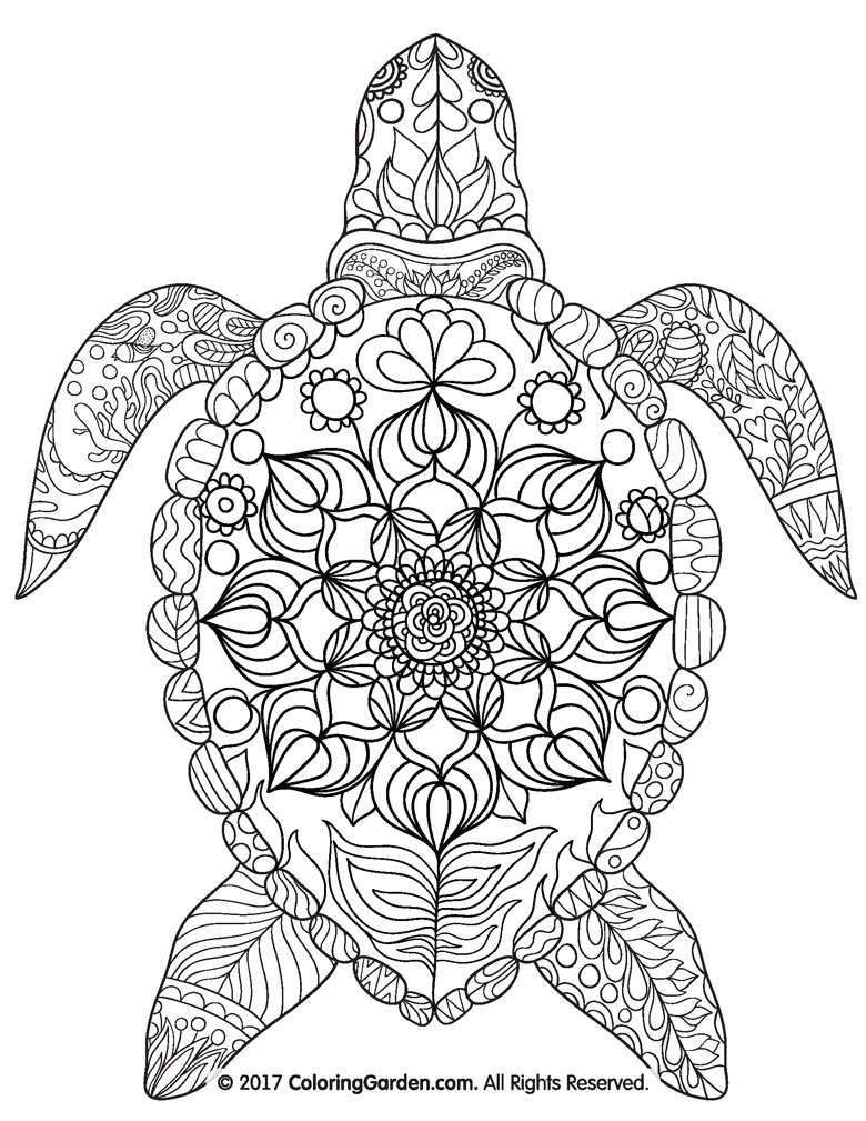 free printable turtle colouring in page