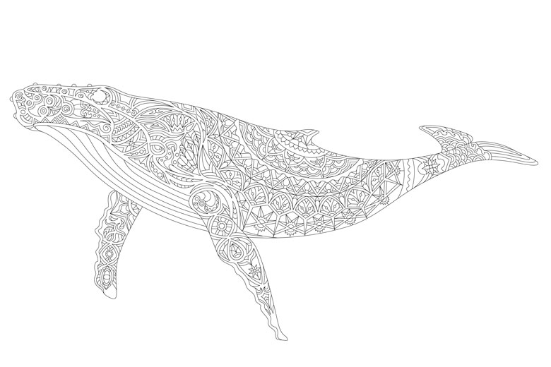 free printable whale colouring in page for adults