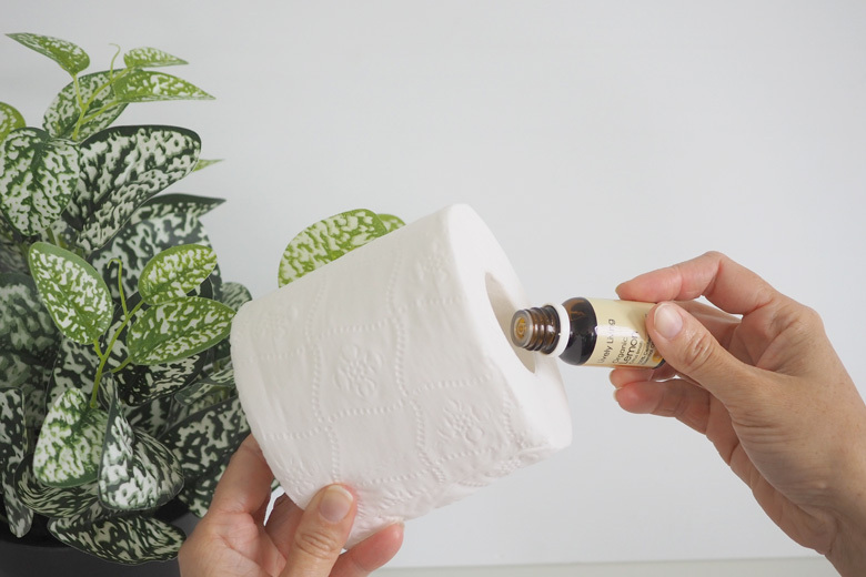 essential oil toilet roll diffuser