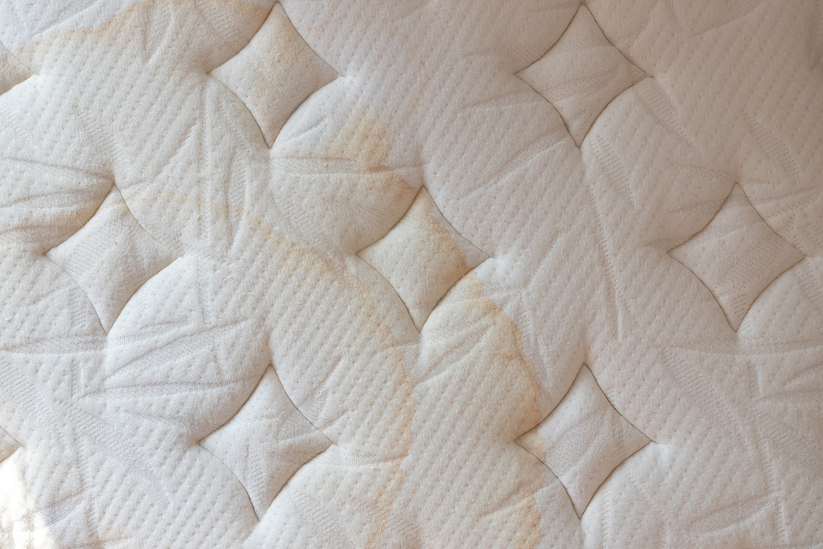 How to Clean Pee on a Mattress - The Happier Homemaker